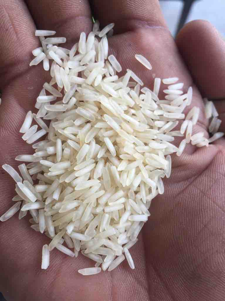 Neeli Chatri Royal Basmati Rice 25kg Udaan B2B Buying for Retailers